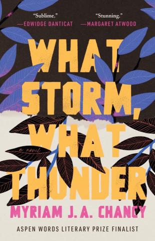 book cover "What Storm, What Thunder"