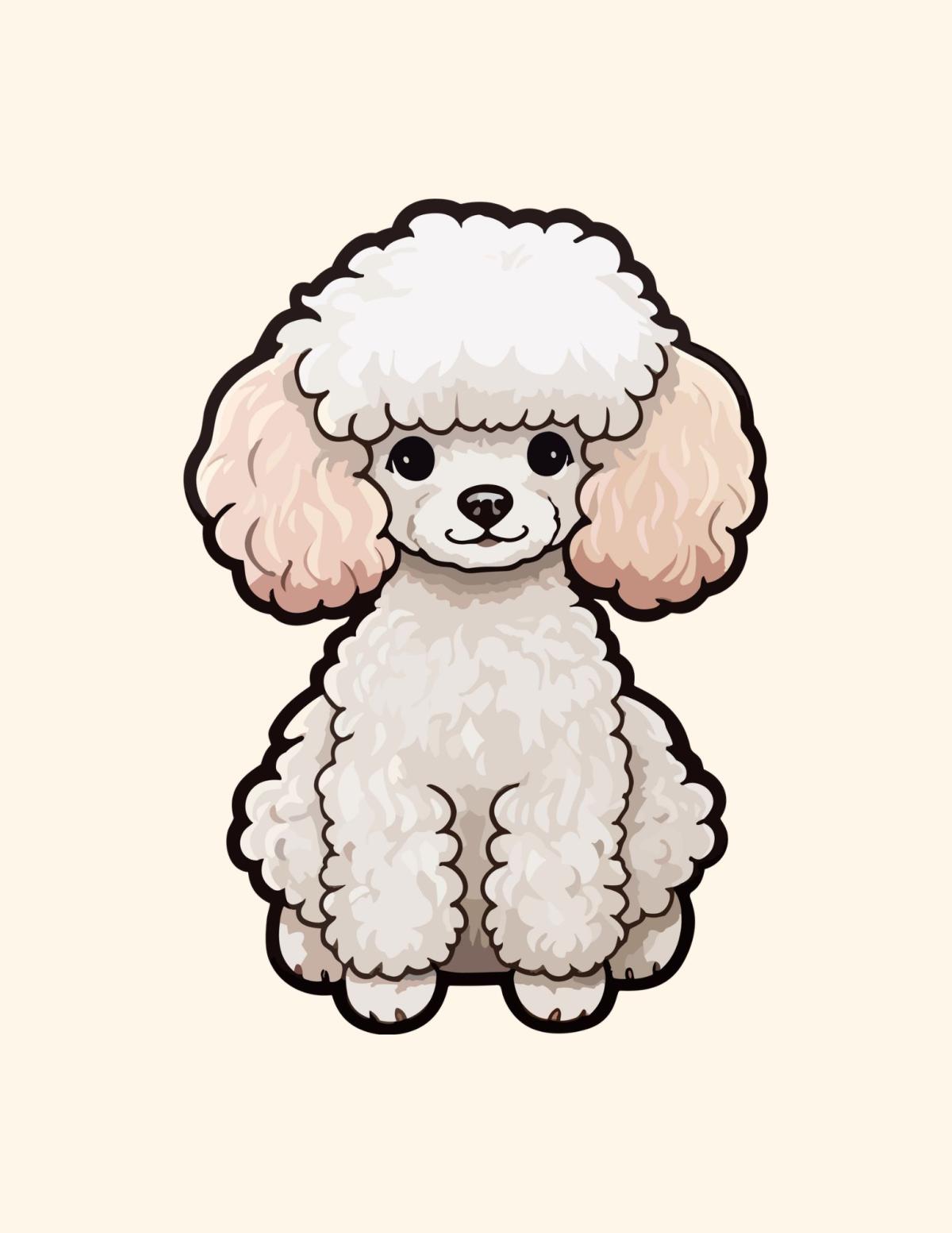 Poodle